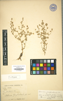 LE 01018226
