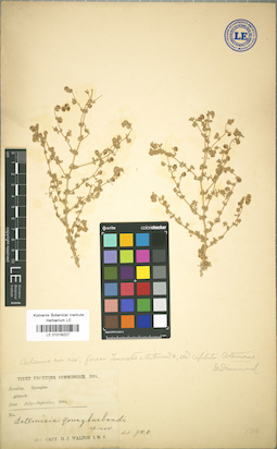 LE 01018227