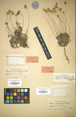 LE 01018230