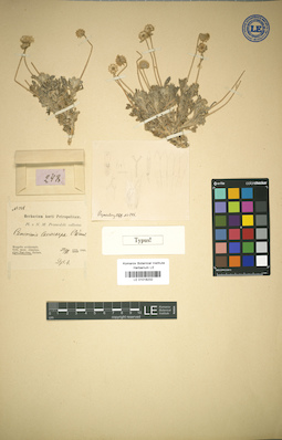LE 01018232