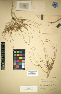 LE 01018233