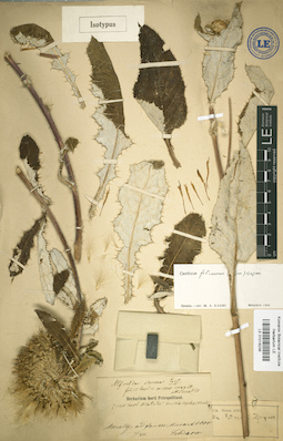 LE 01018236