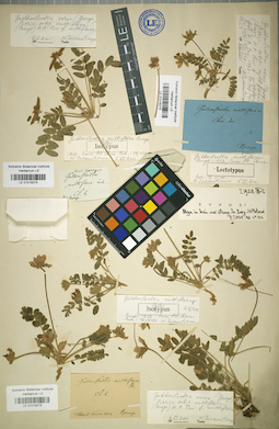 LE 01018275