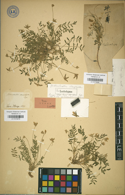 LE 01018279