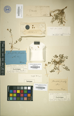 LE 01018281