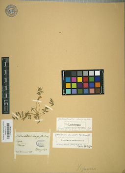 LE 01018284
