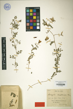 LE 01018300