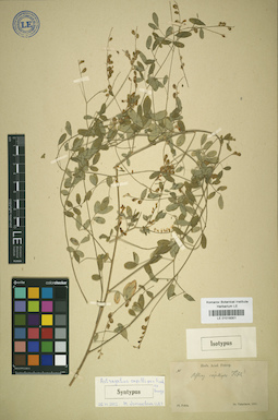LE 01018301