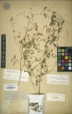 LE 01018302