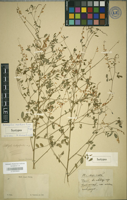 LE 01018303