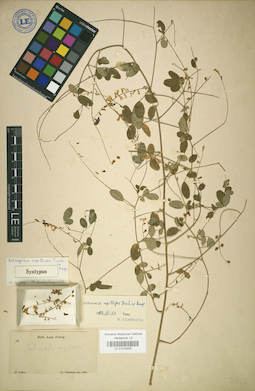 LE 01018305