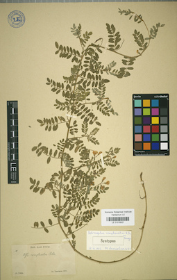 LE 01018321