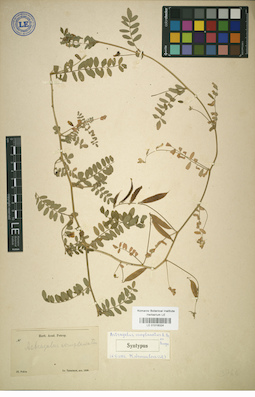 LE 01018324