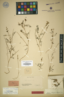 LE 01018330