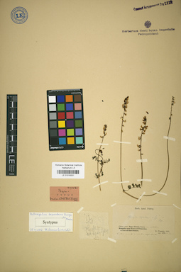 LE 01018331