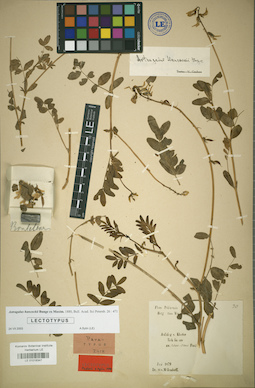 LE 01018347