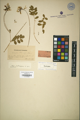 LE 01018348