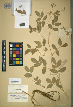 LE 01018349