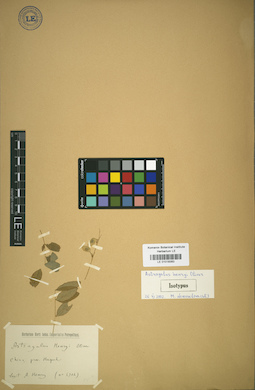LE 01018350