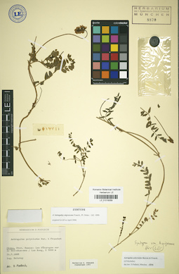 LE 01018359