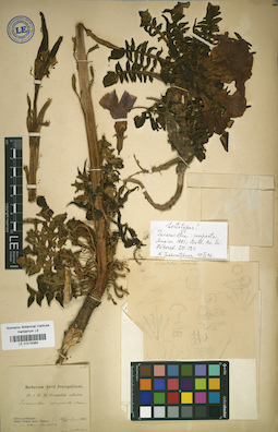 LE 01018364