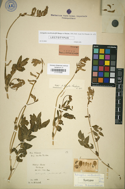 LE 01018366