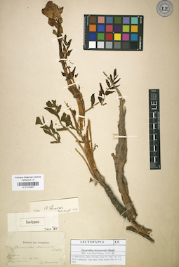 LE 01018367