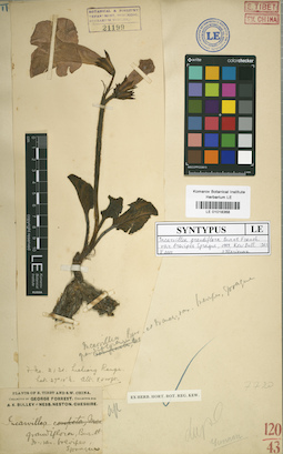 LE 01018368