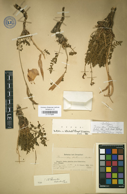 LE 01018369