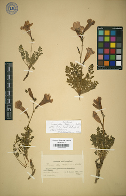 LE 01018370