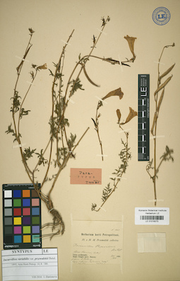 LE 01018373