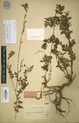 LE 01018377