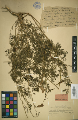LE 01018378