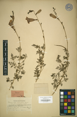 LE 01018379