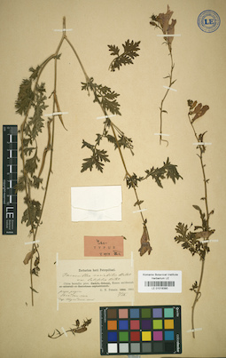 LE 01018380