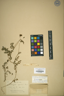 LE 01018398