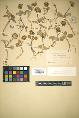 LE 01018453