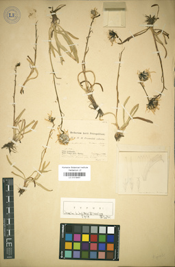 LE 01018457