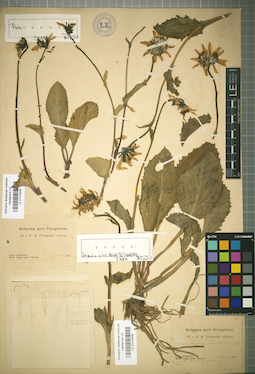 LE 01018458