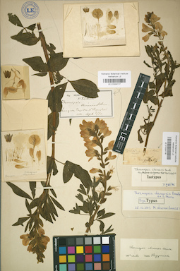 LE 01024117