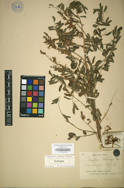 LE 01024140