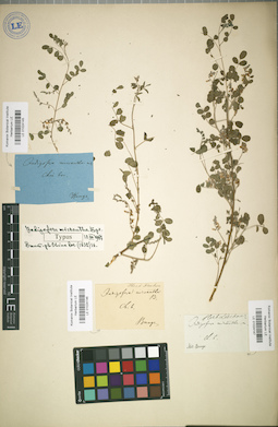 LE 01024145
