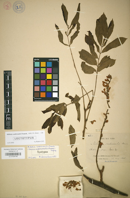 LE 01024149