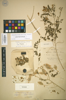 LE 01024150