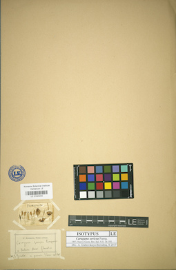 LE 01024243