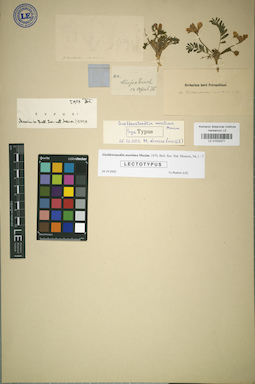 LE 01024271