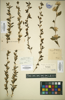 LE 01024288