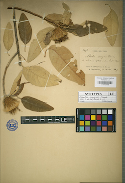 LE 01024298