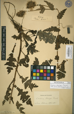LE 01024388