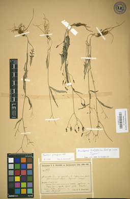 LE 01024514